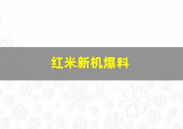 红米新机爆料