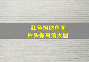 红色招财鱼图片头像高清大图