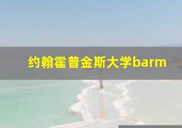 约翰霍普金斯大学barm