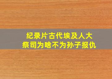 纪录片古代埃及人大祭司为啥不为孙子报仇