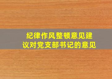 纪律作风整顿意见建议对党支部书记的意见