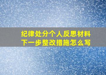 纪律处分个人反思材料下一步整改措施怎么写