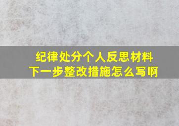 纪律处分个人反思材料下一步整改措施怎么写啊