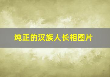 纯正的汉族人长相图片