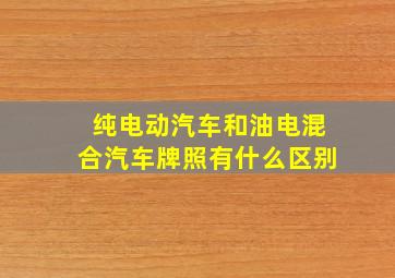 纯电动汽车和油电混合汽车牌照有什么区别