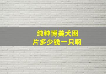 纯种博美犬图片多少钱一只啊