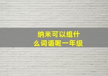 纳米可以组什么词语呢一年级