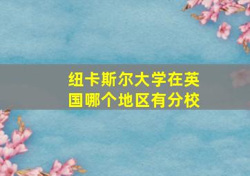 纽卡斯尔大学在英国哪个地区有分校