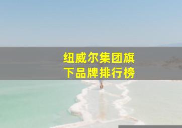 纽威尔集团旗下品牌排行榜