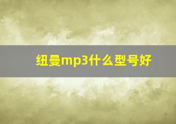 纽曼mp3什么型号好