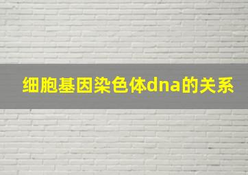 细胞基因染色体dna的关系