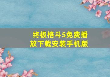 终极格斗5免费播放下载安装手机版