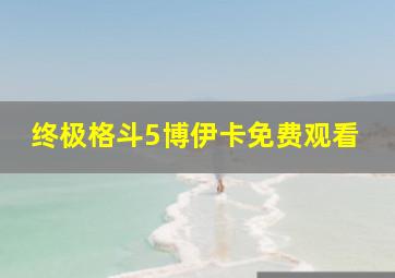 终极格斗5博伊卡免费观看