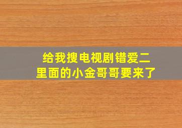 给我搜电视剧错爱二里面的小金哥哥要来了