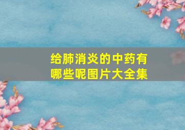 给肺消炎的中药有哪些呢图片大全集