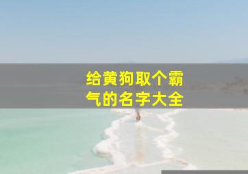 给黄狗取个霸气的名字大全