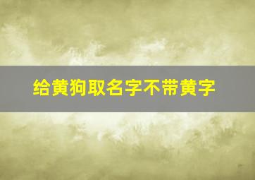 给黄狗取名字不带黄字