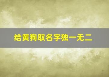 给黄狗取名字独一无二