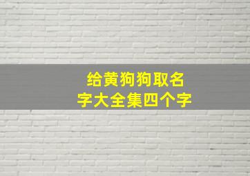 给黄狗狗取名字大全集四个字