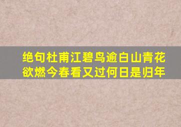 绝句杜甫江碧鸟逾白山青花欲燃今春看又过何日是归年