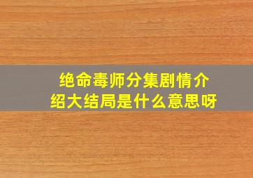 绝命毒师分集剧情介绍大结局是什么意思呀