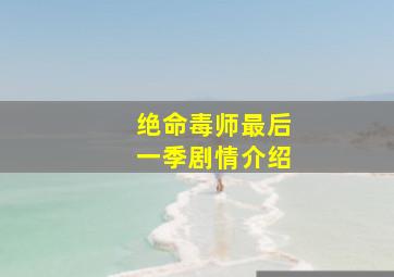 绝命毒师最后一季剧情介绍