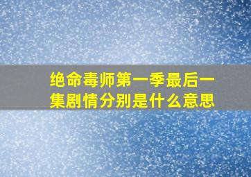 绝命毒师第一季最后一集剧情分别是什么意思