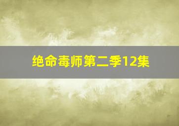 绝命毒师第二季12集