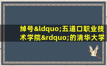 绰号“五道口职业技术学院”的清华大学