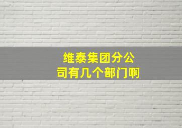 维泰集团分公司有几个部门啊