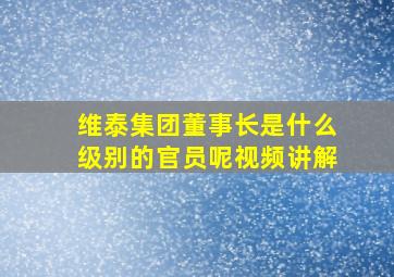 维泰集团董事长是什么级别的官员呢视频讲解