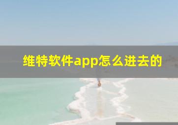 维特软件app怎么进去的