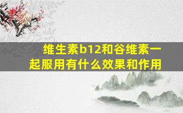 维生素b12和谷维素一起服用有什么效果和作用