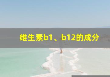 维生素b1、b12的成分