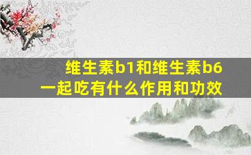 维生素b1和维生素b6一起吃有什么作用和功效