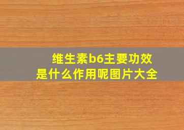 维生素b6主要功效是什么作用呢图片大全