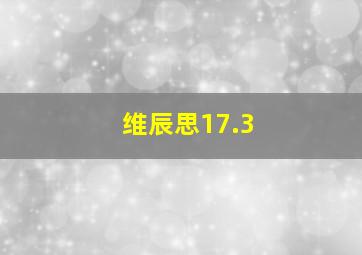 维辰思17.3