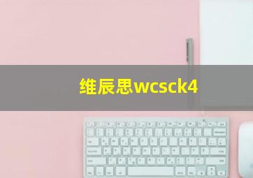 维辰思wcsck4