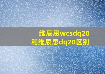 维辰思wcsdq20和维辰思dq20区别