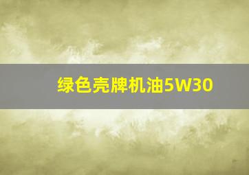 绿色壳牌机油5W30