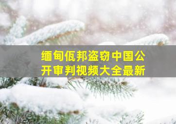 缅甸佤邦盗窃中国公开审判视频大全最新