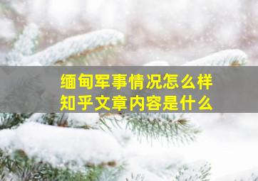 缅甸军事情况怎么样知乎文章内容是什么