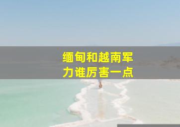 缅甸和越南军力谁厉害一点