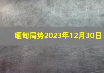 缅甸局势2023年12月30日