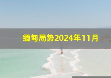 缅甸局势2024年11月