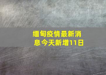 缅甸疫情最新消息今天新增11日