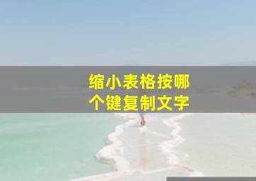 缩小表格按哪个键复制文字