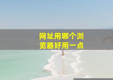 网址用哪个浏览器好用一点