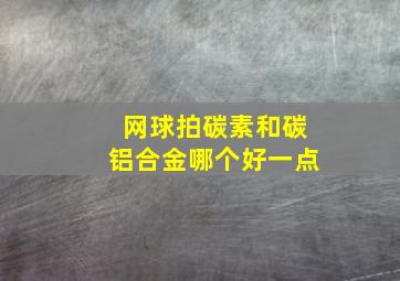 网球拍碳素和碳铝合金哪个好一点