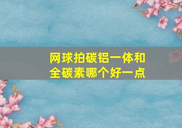 网球拍碳铝一体和全碳素哪个好一点